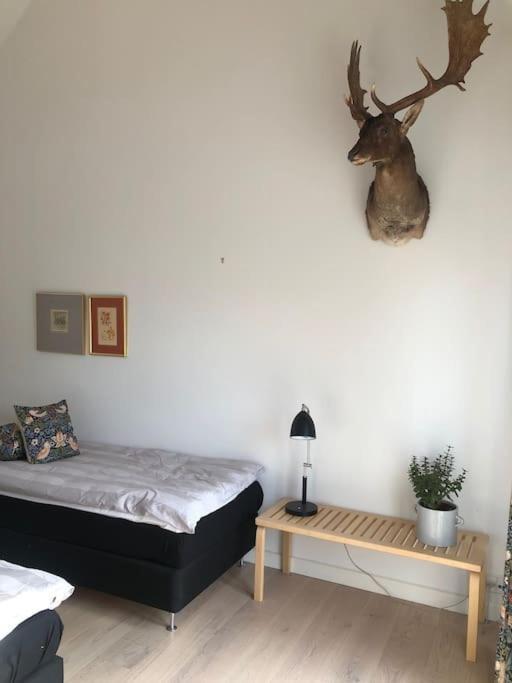 Cozy, Quiet Guest House Perfect For Business Or Pleasure Hillerod Exterior photo